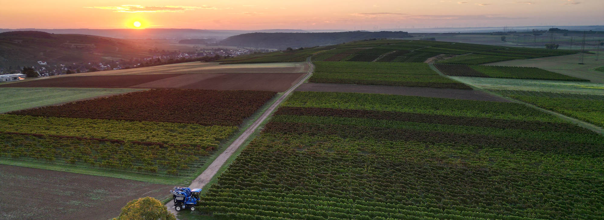 Weingut Zehnthof Kruger in Guldental